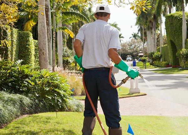 About Shallowater TX Pest Control
